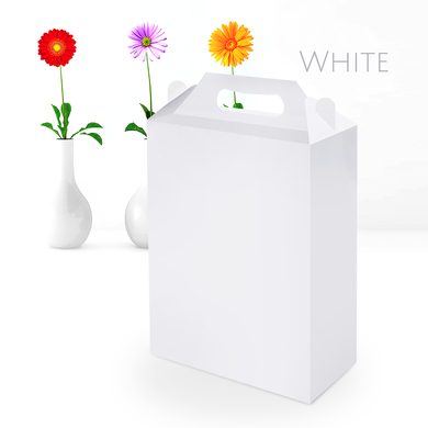 5511 caixa maleta com alca g