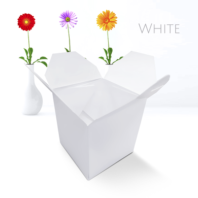 10024 caixa box impermeavel p