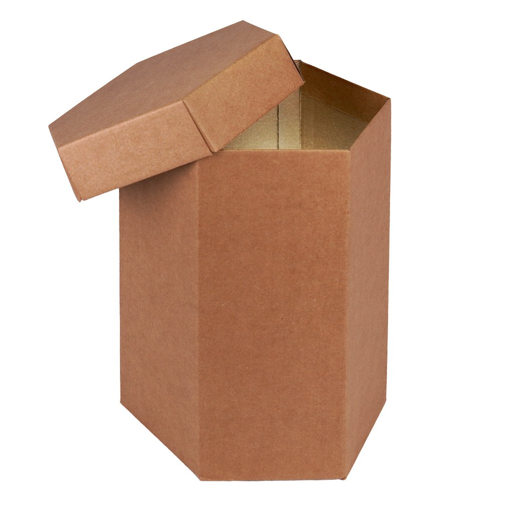 Caixa Sextavada GG com 10un - Coleção Kraft - Joy Pack
