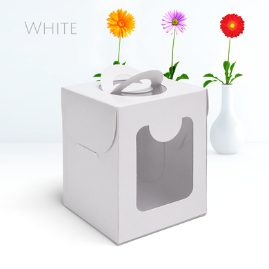 3264 caixa mini panetone 100g