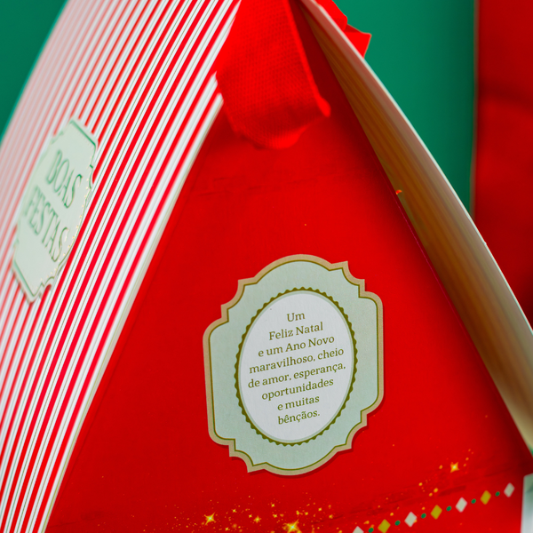 02 caixa casinha do noel com 10un colecao noel joy pack